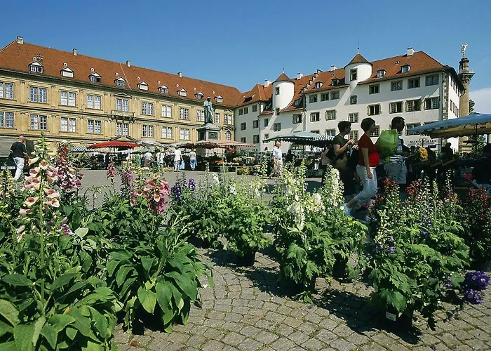 إيبيس سنتروم