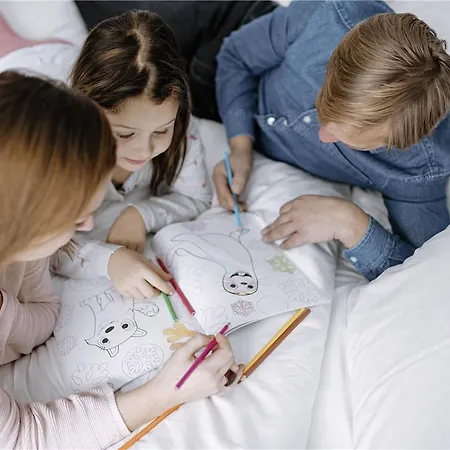 Ibis Centrum Szálloda 3*